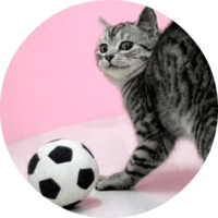 Котики и кошечки