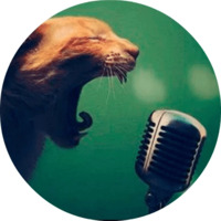 Котики и кошечки