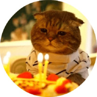 Котики и кошечки
