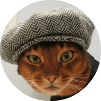 Котики и кошечки