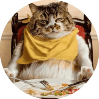 Котики и кошечки