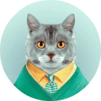Котики и кошечки