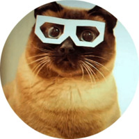 Котики и кошечки