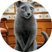 Котики и кошечки