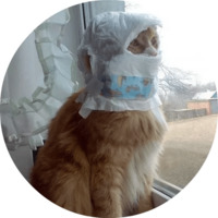 Котики и кошечки