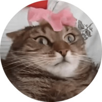 Котики и кошечки