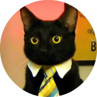 Котики и кошечки
