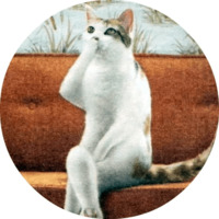 Котики и кошечки