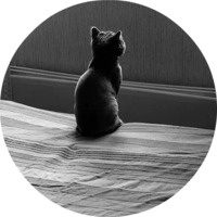 Котики и кошечки