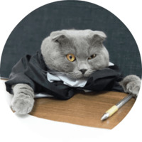 Котики и кошечки