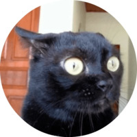 Котики и кошечки