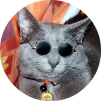 Котики и кошечки