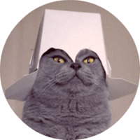Котики и кошечки