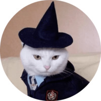 Котики и кошечки
