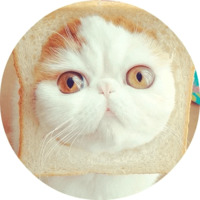 Котики и кошечки