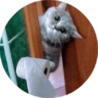 Котики и кошечки