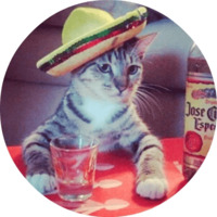 Котики и кошечки