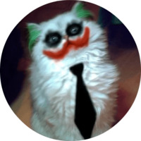 Котики и кошечки