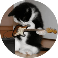 Котики и кошечки
