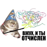 Кот вжух