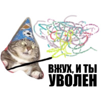 Кот вжух