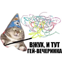 Кот вжух