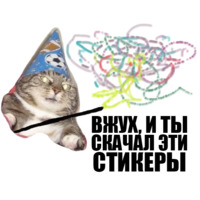 Кот вжух