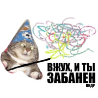 Кот вжух