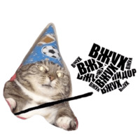 Кот вжух