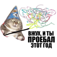 Кот вжух