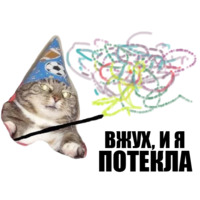 Кот вжух