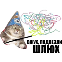 Кот вжух