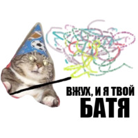 Кот вжух