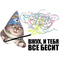 Кот вжух