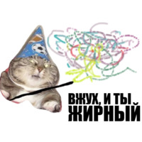 Кот вжух
