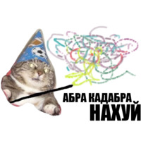 Кот вжух