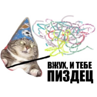 Кот вжух
