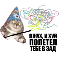 Кот вжух