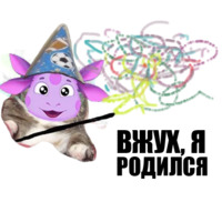 Кот вжух