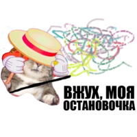 Кот вжух