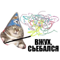 Кот вжух