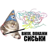 Кот вжух