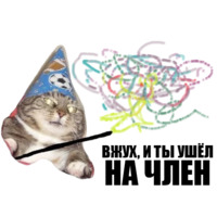 Кот вжух