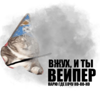Кот вжух
