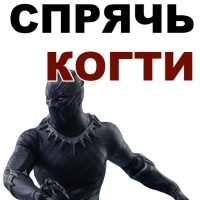 Чёрная ПАНТЕРА