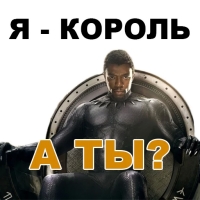Чёрная ПАНТЕРА