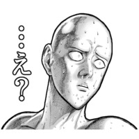 Onepunch Man