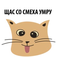 Кошка со смыслом