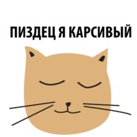 Кошка со смыслом