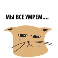 Кошка со смыслом